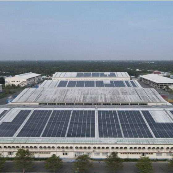 Committed to Sustainability (1)