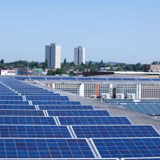 Committed to Sustainability (2)