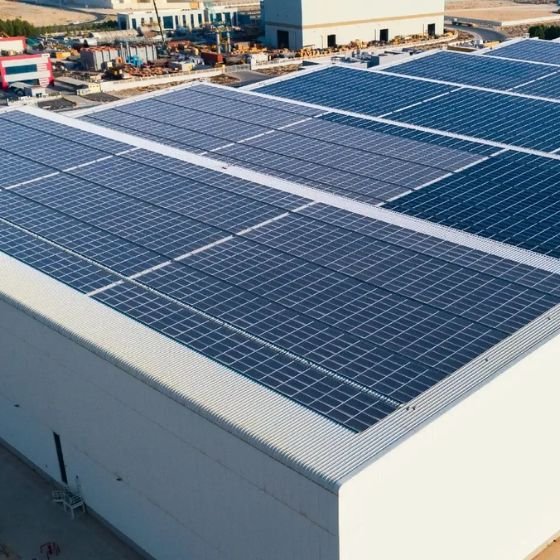 Committed to Sustainability