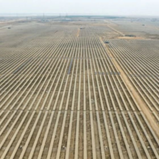 Untitled design (10)