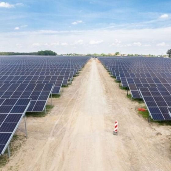 Untitled design (11)